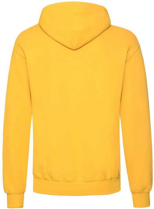 Actual product image Fruit of the Loom Adults Unisex Classic Hooded Sweatshirt (L)