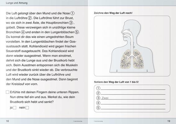 Actual product image Ich kenne meinen Körper - Blutkreislauf und Atmung (German, Katrin Langhans, 2015)