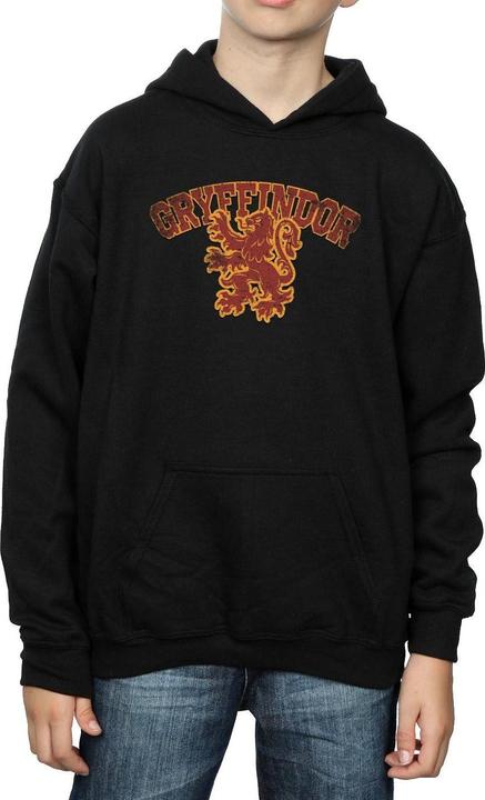 Immagine prodotto Gryffindor Sport Emblem Felpa con Cappuccio Ragazzi (116)