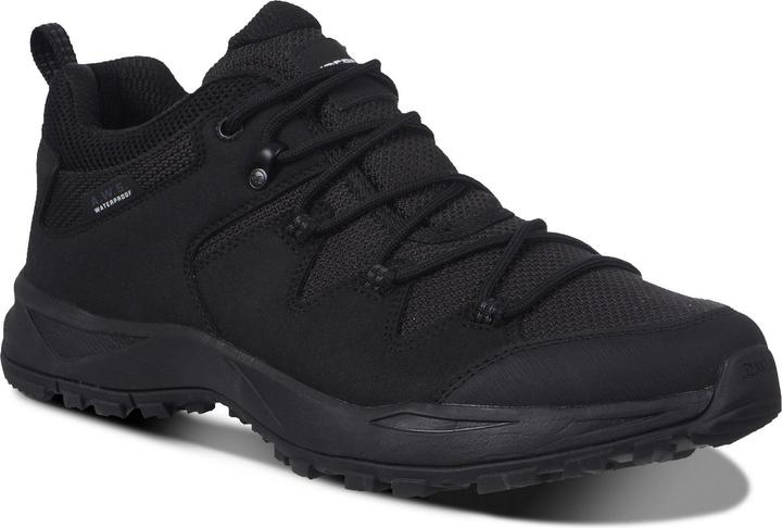 Icepeak Ahola MS