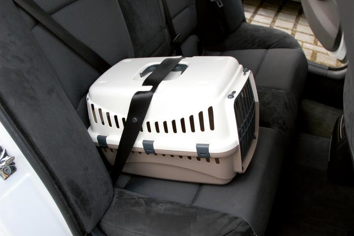 Image du produit Kerbl Boîte de transport Expedition (Chat, Chien)