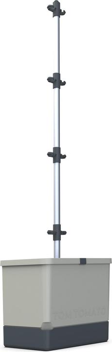 Actual product image Gusta Garden Tom Tomato (35 cm)