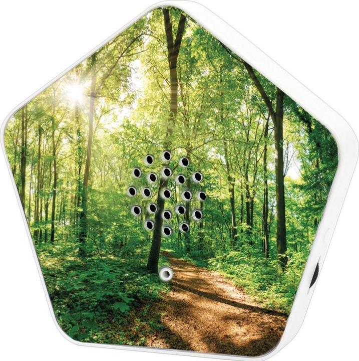 Immagine prodotto Olympia Olymp Nature BOX