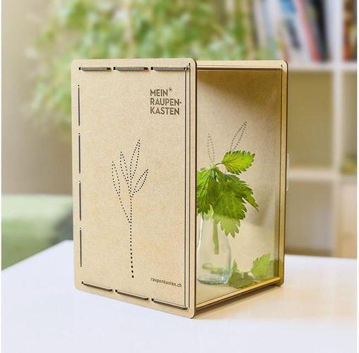 Produktbild Mein Raupenkasten Raupenkasten (Schmetterlinge)