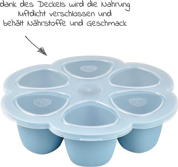 Actual product image Beaba Multiportions