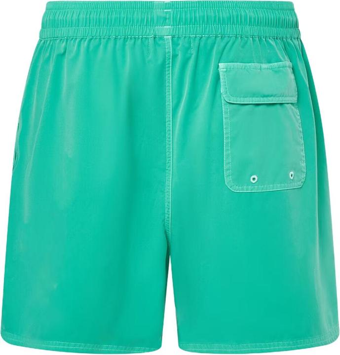 Actual product image Oakley Robinson RC 16" Beach Shorts (L)