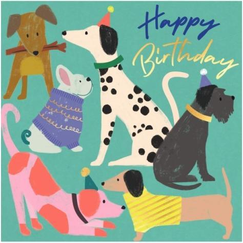 Actual product image Laura Darrington Birthday card dogs - Happy Birthday