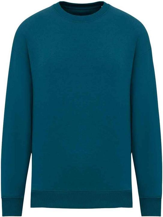 Native Spirit Sweatshirt Übergross