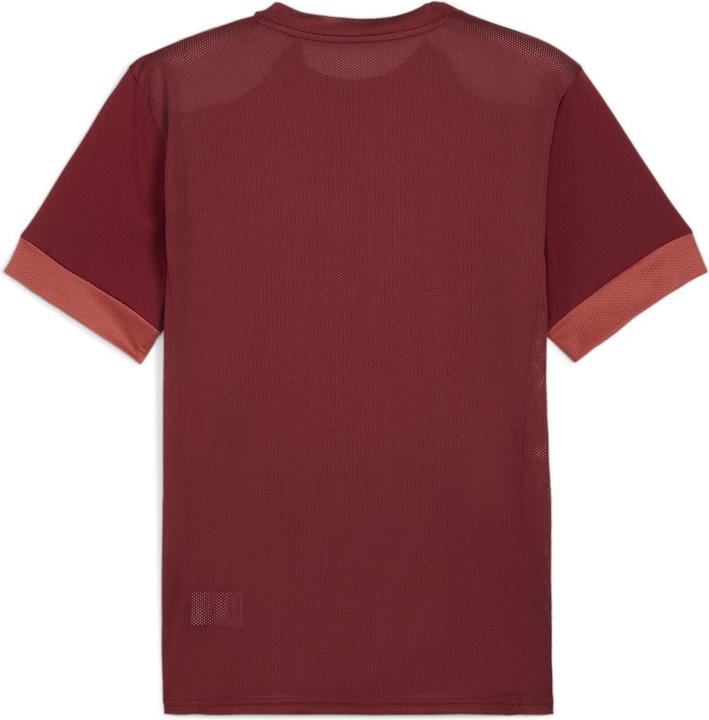 Actual product image Puma teamGOAL Matchday Jersey (L)