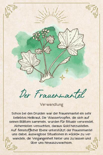 Actual product image Strassmair:Orakel-Karten-Box: Naturmome (German, Sabine Strassmair, 2024)