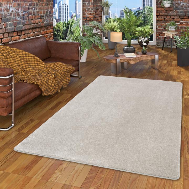 Produktbild Snapstyle Hochflor Luxus Velours Teppich Touch (100 x 100 cm)