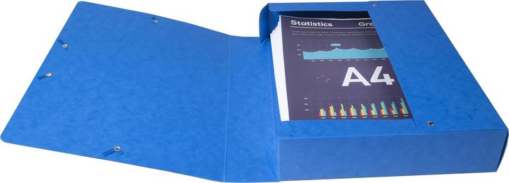 Produktbild Exacompta Exabox (25 x 33 cm)