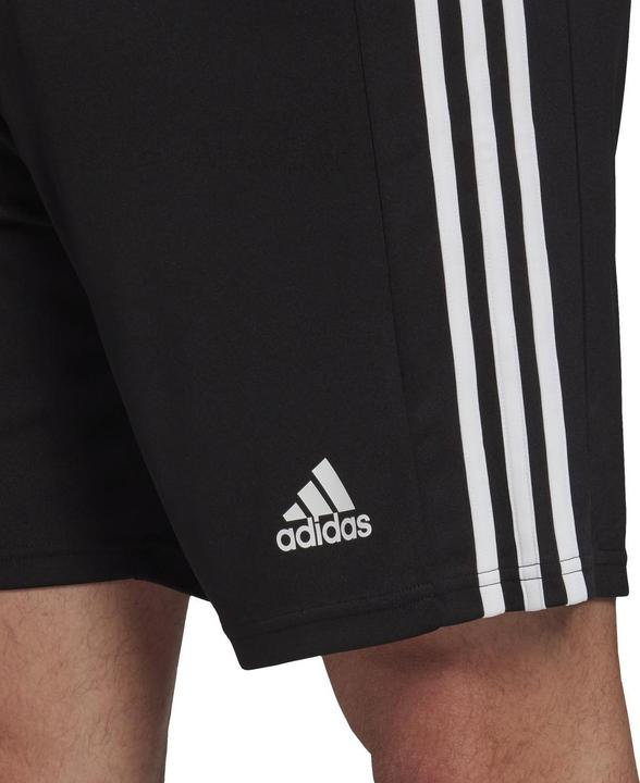 Actual product image adidas Squadra 21 Short (XL)