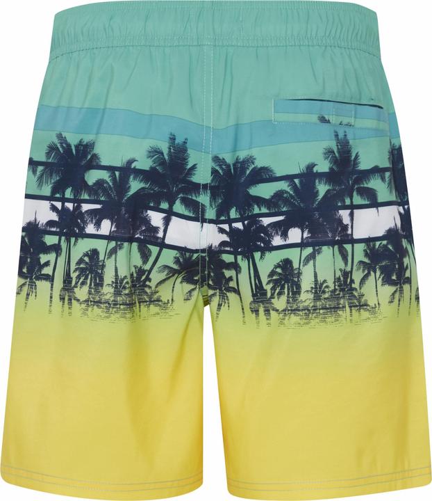 Image du produit Blend short de bain (M)