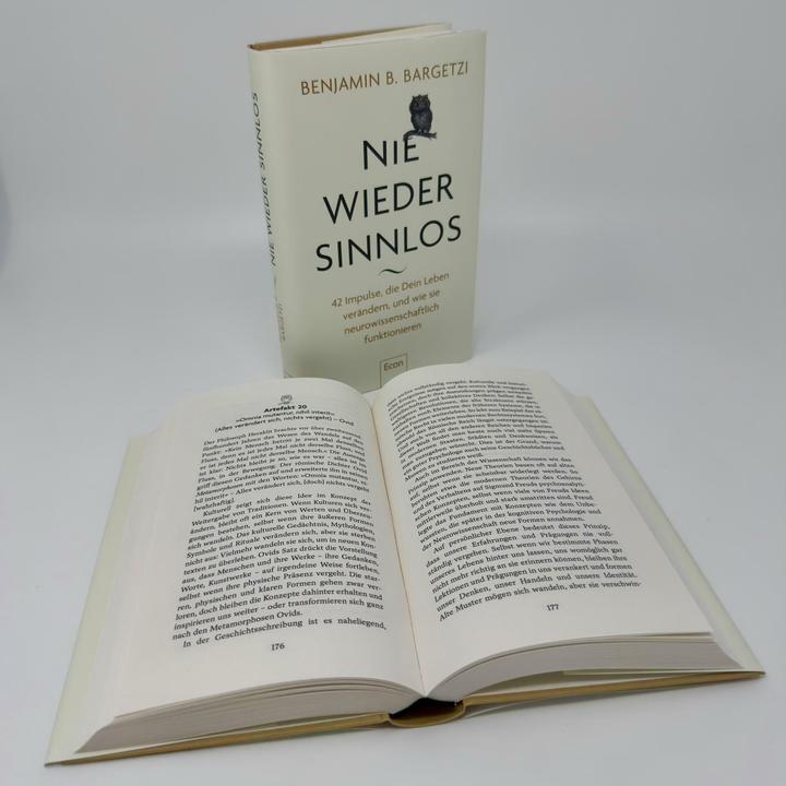 Actual product image Nie wieder sinnlos (German, Benjamin B. Bargetzi, 2025)