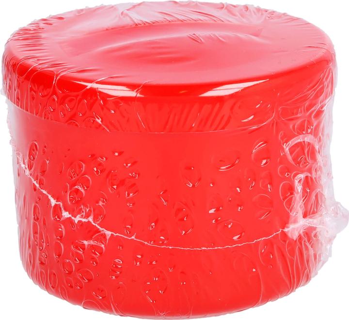 Immagine prodotto Dr. Junghans Custodia per dentiera rosso salmone, confezione da 1 pezzo