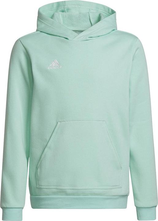 adidas Entrada 22 Sweat Hoodie