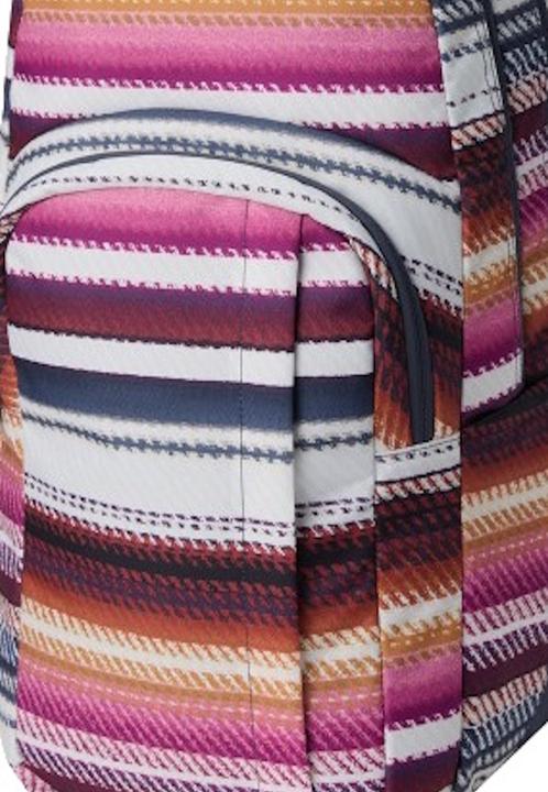 Actual product image Dakine Backpack CAMPUS L 33L BLANK.STRIPE (33 l)