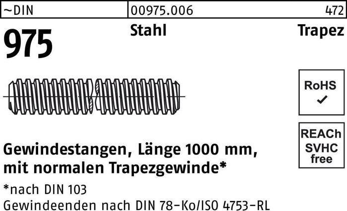 Actual product image Threaded rod DIN 975 trapezoidal thread TR 22 x 5 x 1000mm steel
