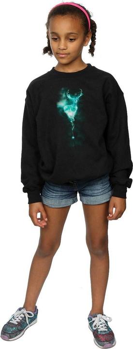 Produktbild Stag Patronus Mist Sweatshirt Mädchen (140, 146)