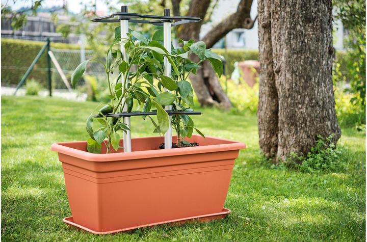 Actual product image Gusta Garden CHILI BUDDY climbing support for chillies & peppers silver (32 cm, 22 cm)