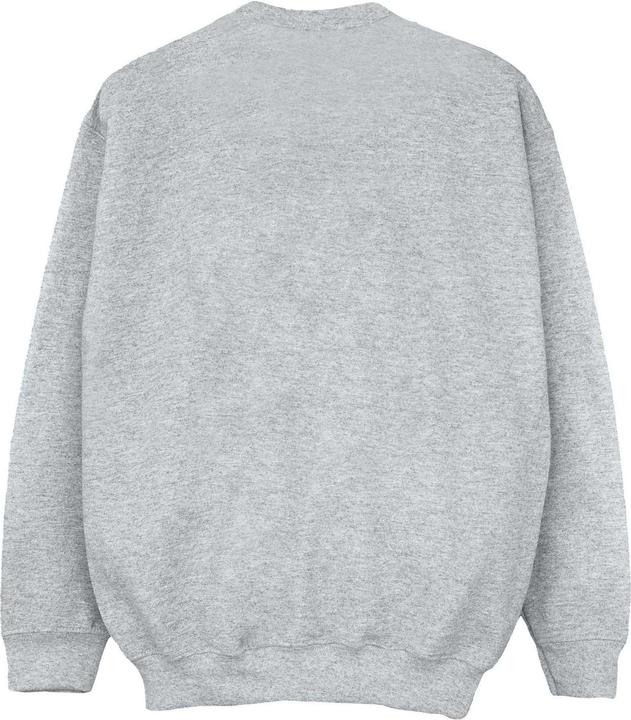 Image du produit - Sweat - Fille (140, 146)