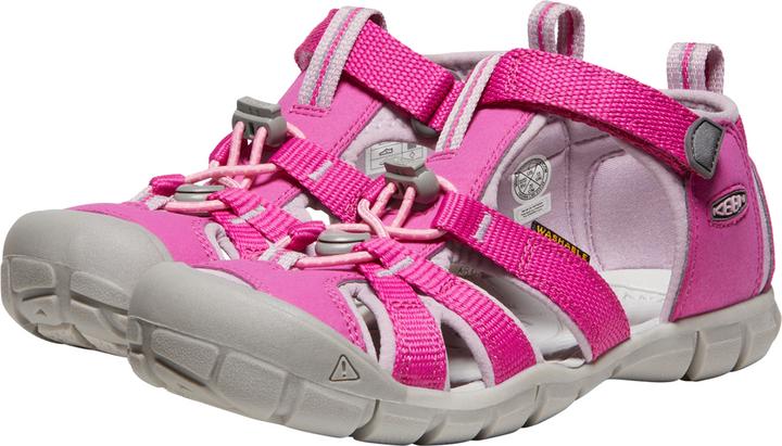 Dawn Pink, Very Berry