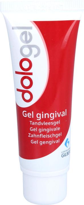 Produktbild Laboratoires Gilbert Dologel Zahnfleischgel (25 ml)