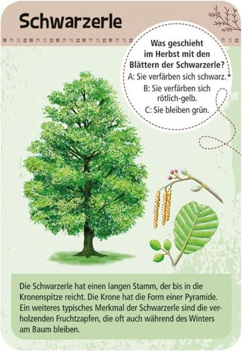 Produktbild MOS09716 - Expedition Natur "50 heimische Bäume", für 1 oder mehr Spieler, ab 10 Jahren (DE-Ausgabe) (Deutsch)