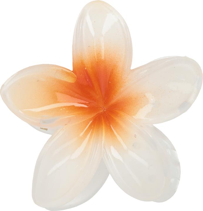 Image du produit Trisa Fashion Frangipani Set Haarklammern & Clip Orange 5 Stk (5 pcs)