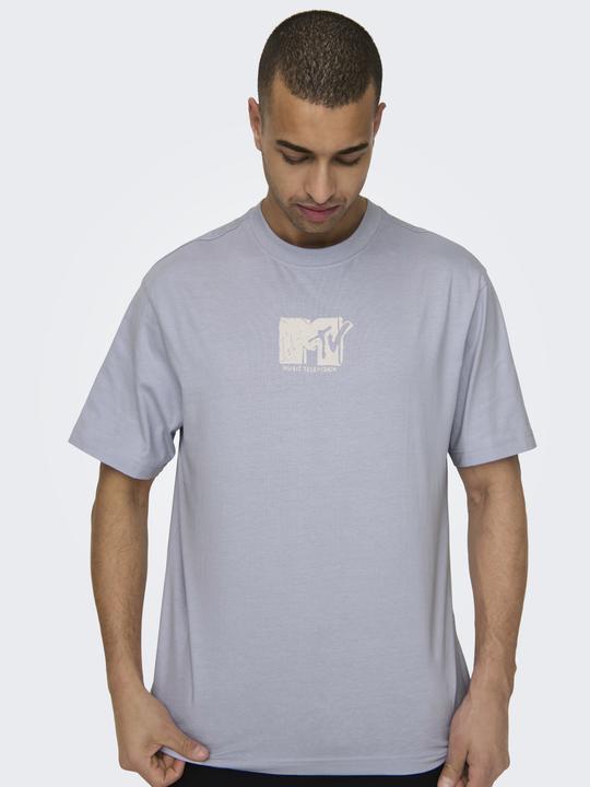 Actual product image Only & Sons Loose fit round neck T-shirt T-shirt (L)