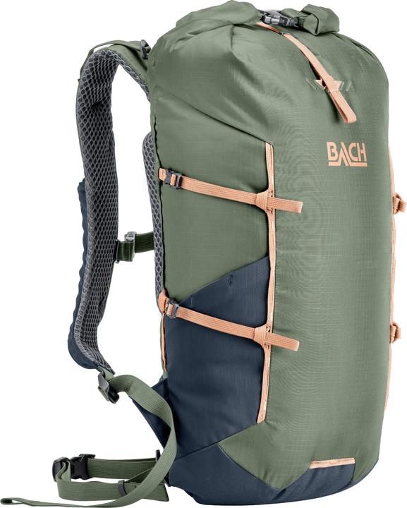 Sage Green, Midnight Blue