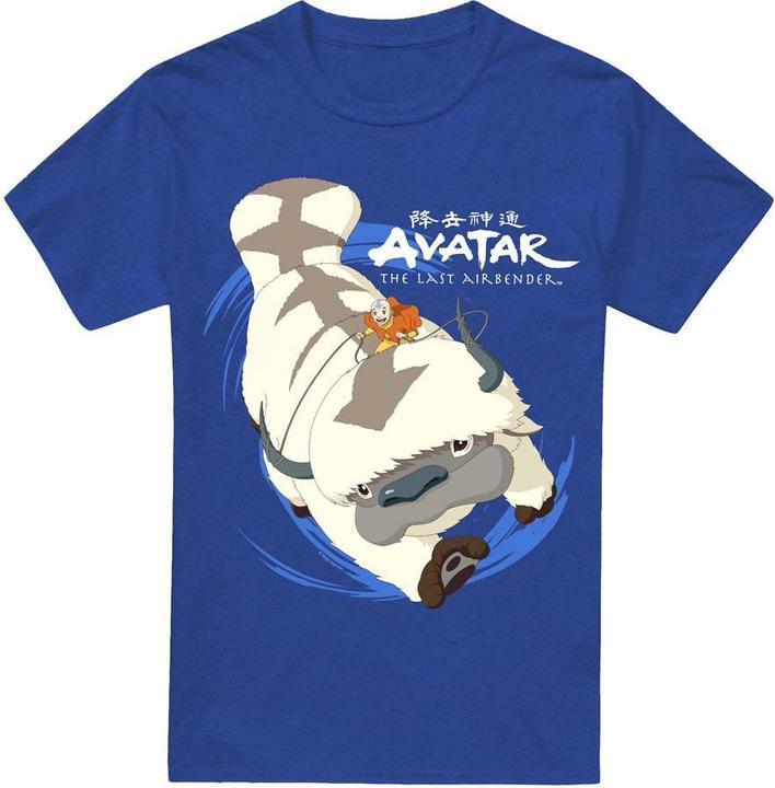 Produktbild Avatar: The Last Airbender In Flight TShirt (XXL)