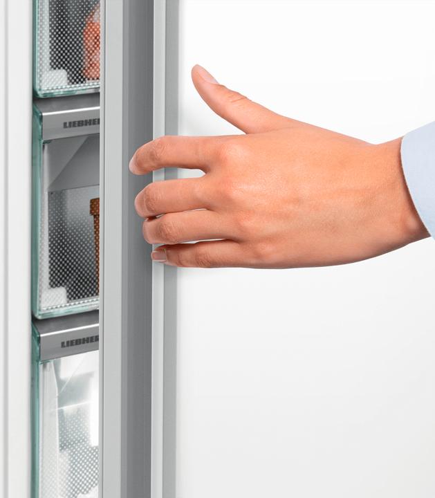 Actual product image Liebherr FNF 4204 Upright freezer with reversible door (Stand-alone, 160 l)