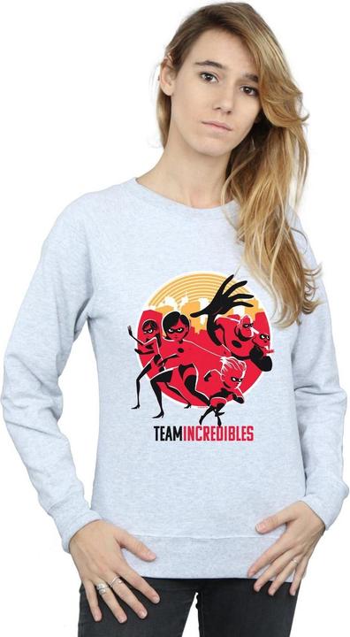 Actual product image Disney Womens/Ladies Incredibles 2 Team Incredibles Sweatshirt (L)