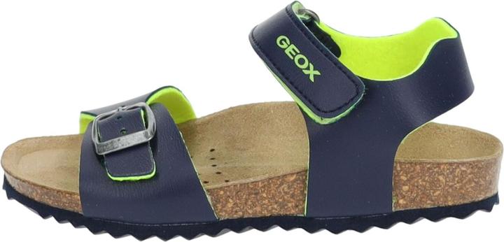Navy/Lime