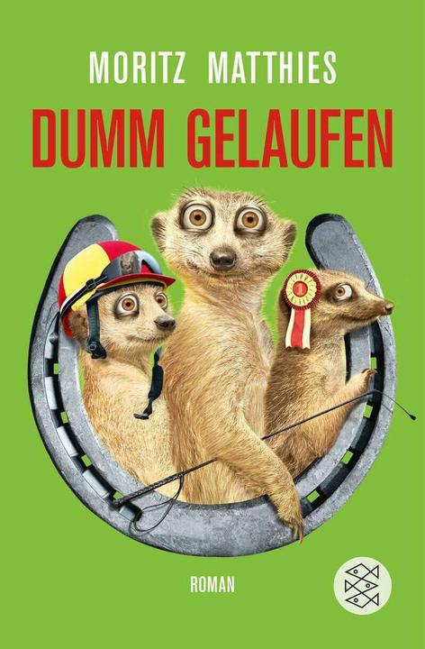 Actual product image Dumm gelaufen (German, Moritz Matthies, 2015)