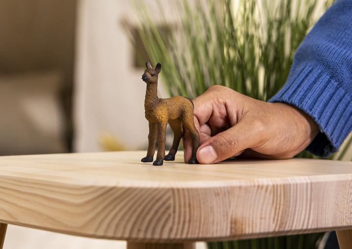 Immagine prodotto Schleich Puledro di lama