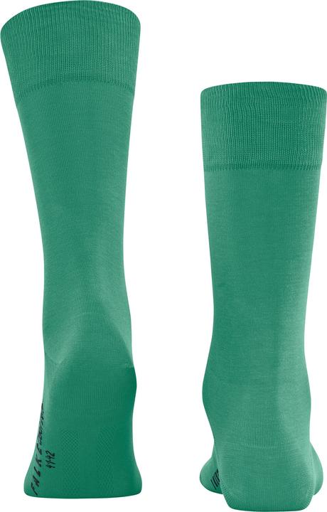 Produktbild Falke Cool 24/7 Herren (43 - 44)