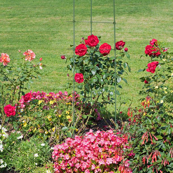 Produktbild Relaxdays 4x Rankhilfe (28 cm, 28 cm)
