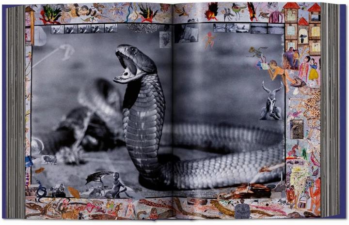 Image du produit Peter Beard (Allemand, Anglais, Français, David Fahey, Owen Edwards, Steven M. L. Aronson, Nejma Beard, 2020)