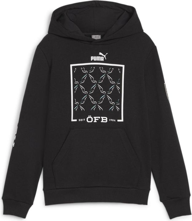Actual product image Puma ÖFB Ftblicons Hoody Jr (164)