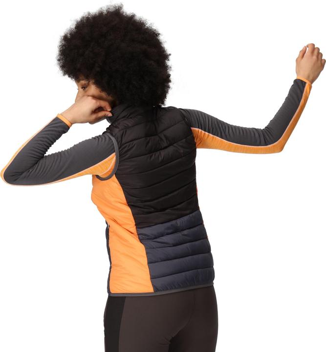 Produktbild Regatta Harrock II Baffled Gilet (36 D)