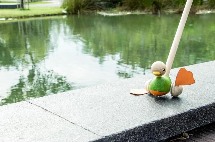 Image du produit Plantoys Un canard pour le piquage