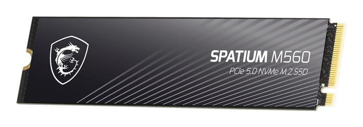 MSI 1TO M.2 NVME GEN5 - SPATIUM M560 (1000 GB, M.2 2280)
