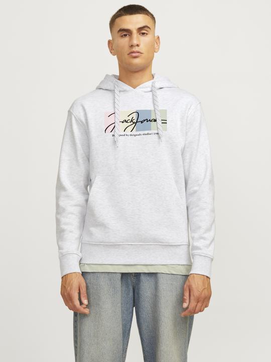 Immagine prodotto Jack & Jones Jorportland Block Sweat Hood Ln (M)