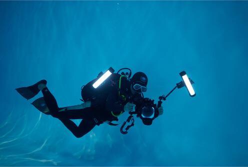 Actual product image Godox WT25D Dive LED Light