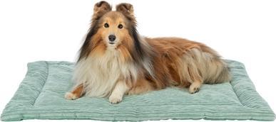 Image du produit Trixie Ligmat Jonna Ribfluweel Saliegroen - 70X50 Cm (Chien)