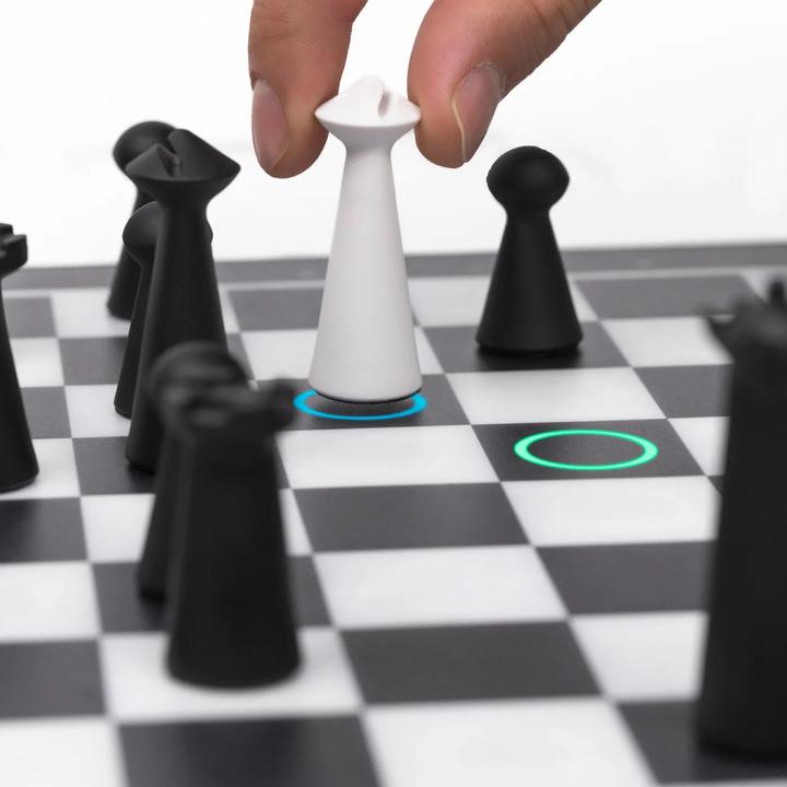 Actual product image Particula GoChess Mini
