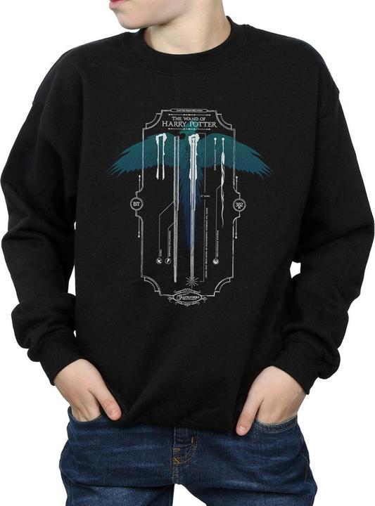 Actual product image Boys Garrick Ollivander The Wand Sweatshirt (116)